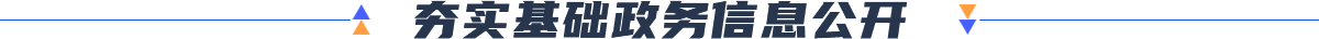 夯實(shí)基礎(chǔ)政務(wù)信息公開(kāi)
