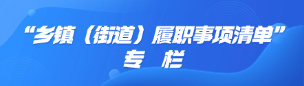“鄉鎮（街道）履職事項清單”專欄